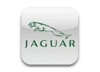 JAGUAR habillage tableau de bord | Décoration Tableau