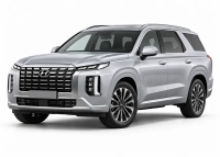 Habillage tableau de bord Hyundai Palisade | Decoration-Tableau